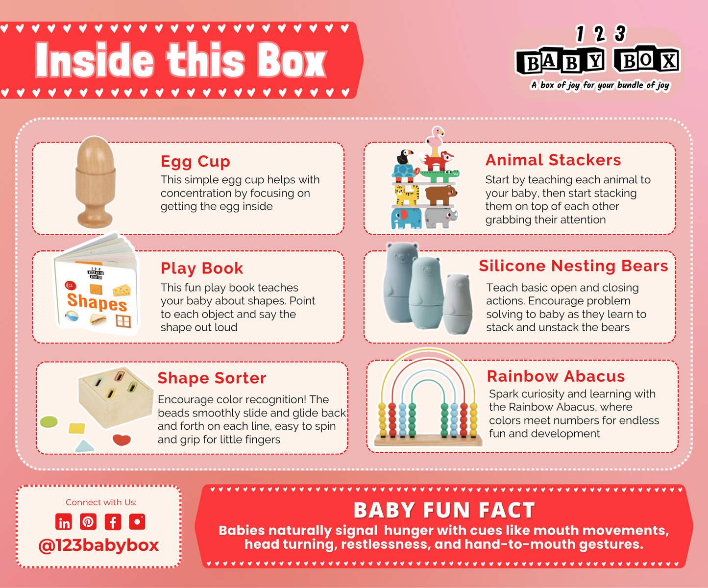 Montessori Educational Box (9-12 Months)