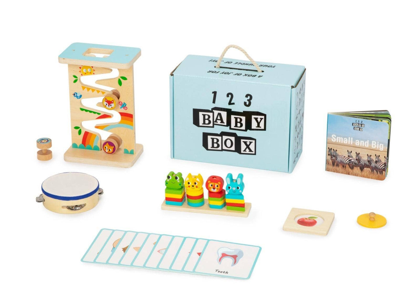 Montessori Educational Box (15-18 Months)